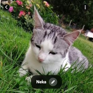 Neka