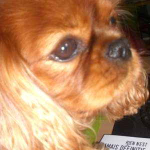 Jules