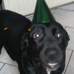 Poupette