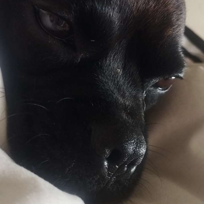 Caramel