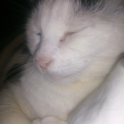 Miti