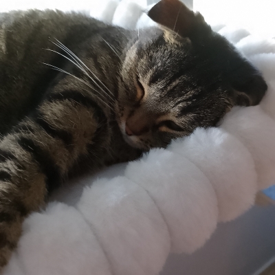 Rocky